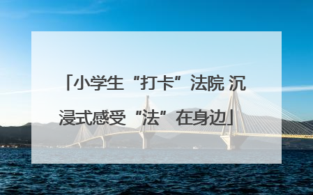 小学生“打卡”法院 沉浸式感受“法”在身边